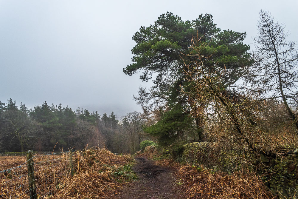 Foxlow Edge Foxlow Edge